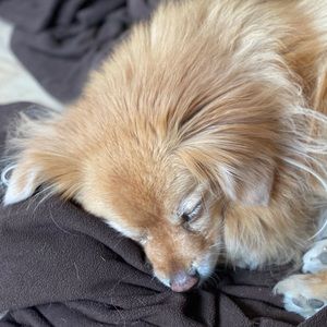 Meet your Posher, Tim